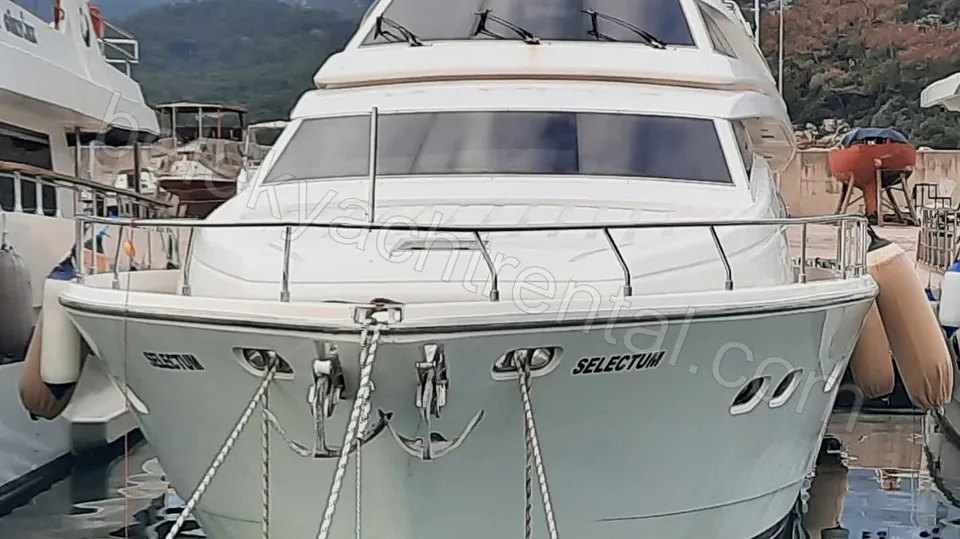 Selectum photo 2