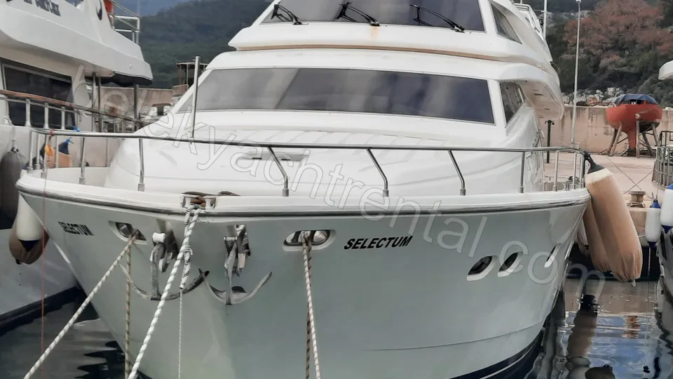 Selectum photo 5