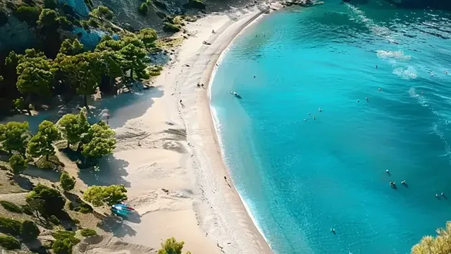 Program Fotoğrafı