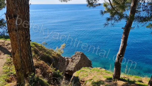 Program Fotoğrafı